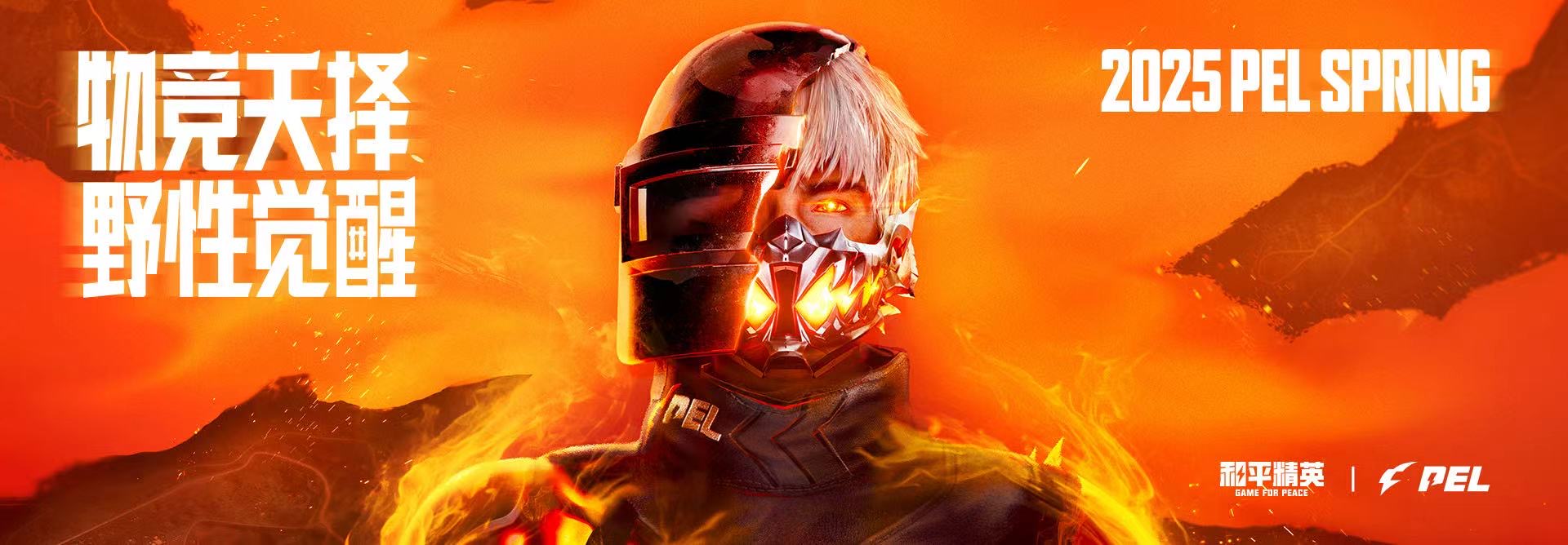 和平精英辅助【美杜莎容器直装V1.3】变色绘制 骨骼绘制 掩体变色 手持显示 全枪无死角漏打 扫车打鸟 范围可调节